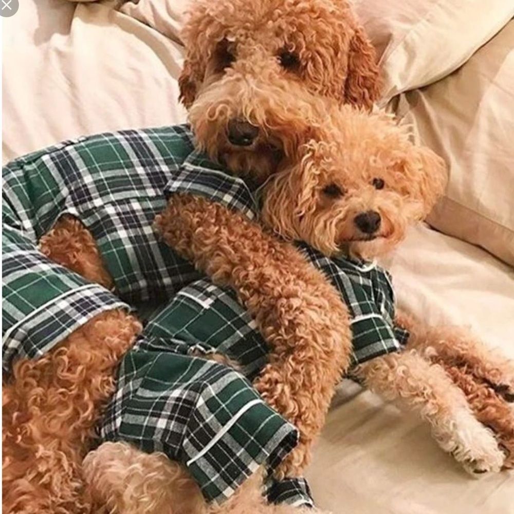 🎈Green Plaid Flannel Dog Pajamas